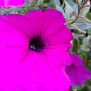 Meet your Posher, Thomas